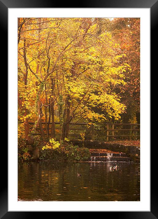 Autumn on the Lakes Framed Mounted Print by Dawn Cox