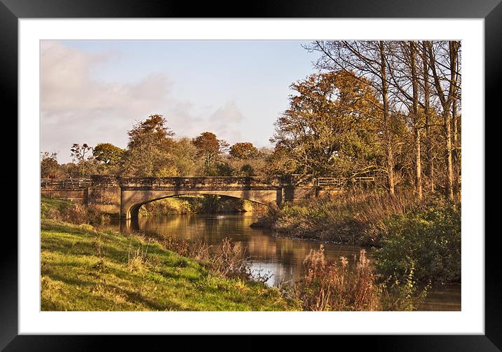 Bridge over calm waters Framed Mounted Print by Dawn Cox