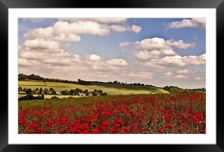 Poppies on the Hill Framed Mounted Print by Dawn Cox