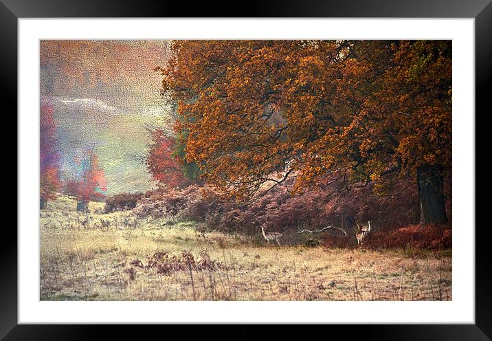 Autumn landscape Framed Mounted Print by Dawn Cox