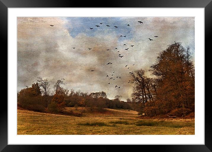 Where the Crows Fly Framed Mounted Print by Dawn Cox