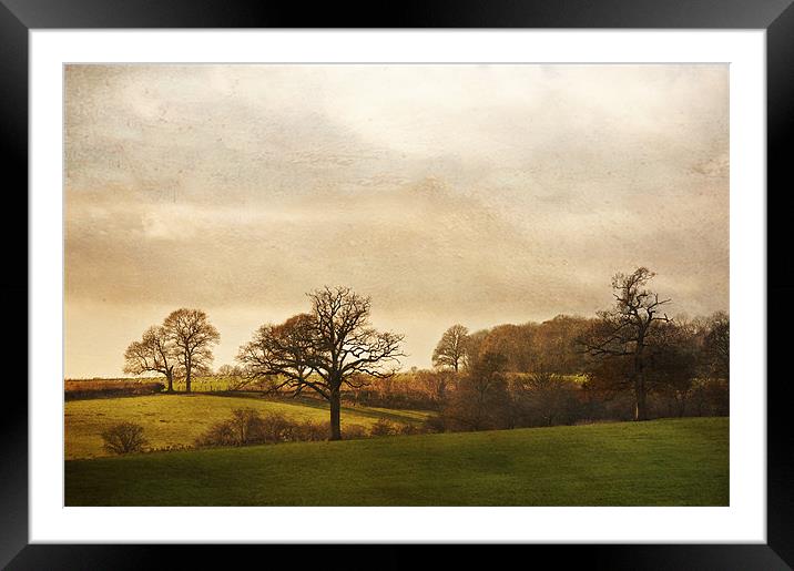 Kent Countryside Framed Mounted Print by Dawn Cox