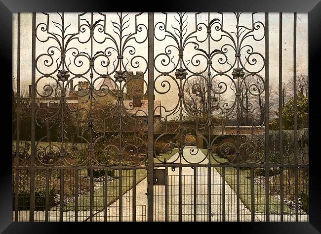 Looking through the Gates Framed Print by Dawn Cox