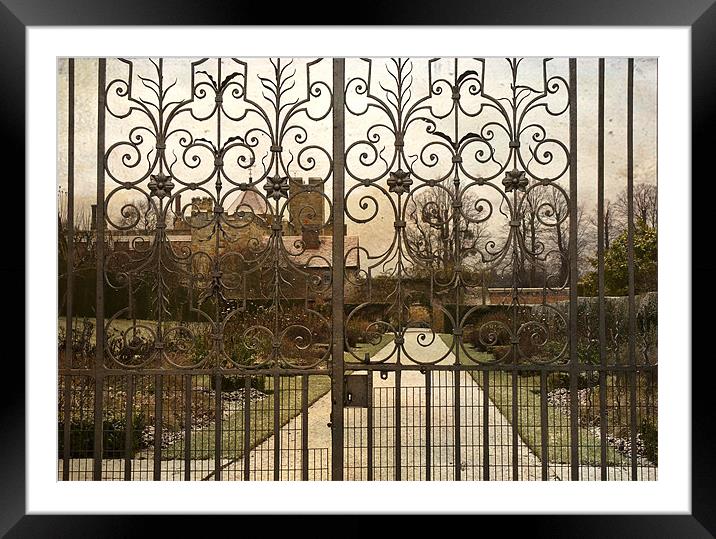Looking through the Gates Framed Mounted Print by Dawn Cox