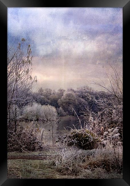 Wonderful Winterland Framed Print by Dawn Cox