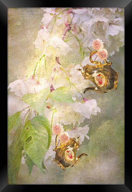 cherry blossom tea anyone Framed Print by Dawn Cox