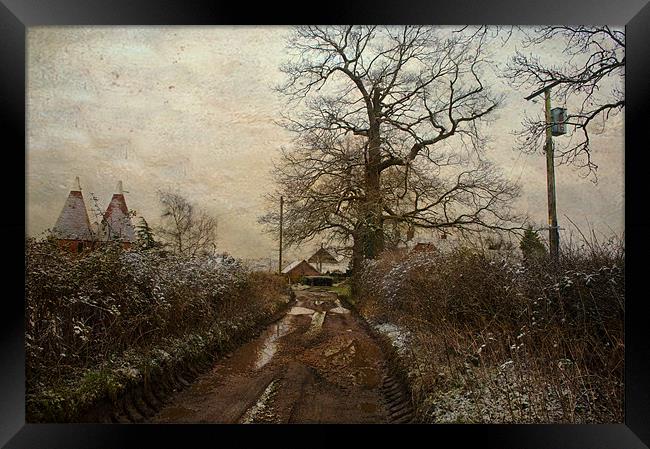 A  Kent country lane Framed Print by Dawn Cox