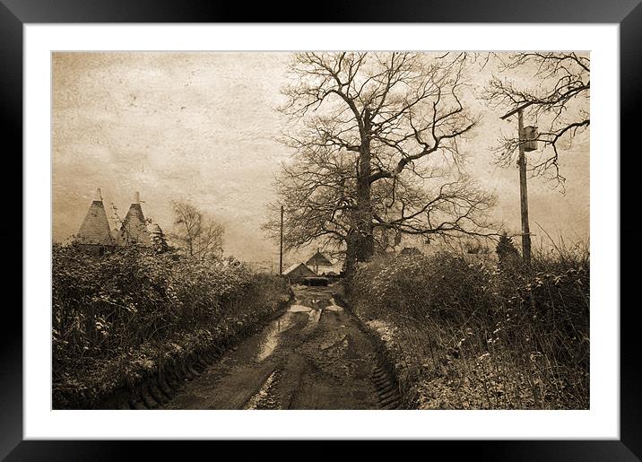 Looking back in time Framed Mounted Print by Dawn Cox