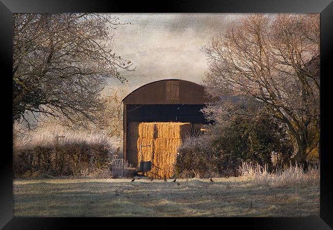 The old Hay Barn Framed Print by Dawn Cox