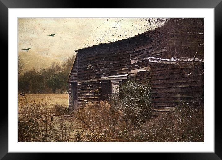 The Old Barn Framed Mounted Print by Dawn Cox