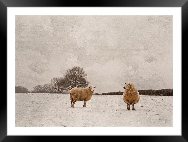 Great time for thick coats Framed Mounted Print by Dawn Cox