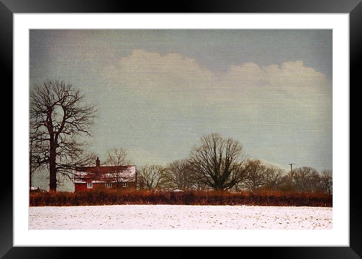 All alone Framed Mounted Print by Dawn Cox