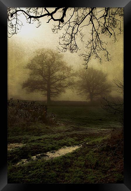 Through the mist Framed Print by Dawn Cox