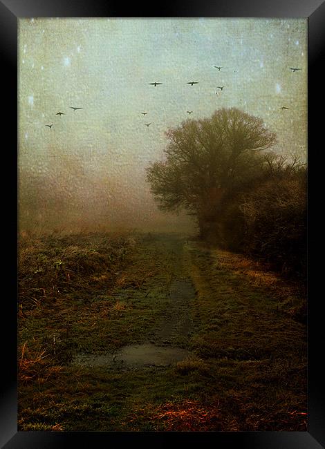 What lies ahead Framed Print by Dawn Cox