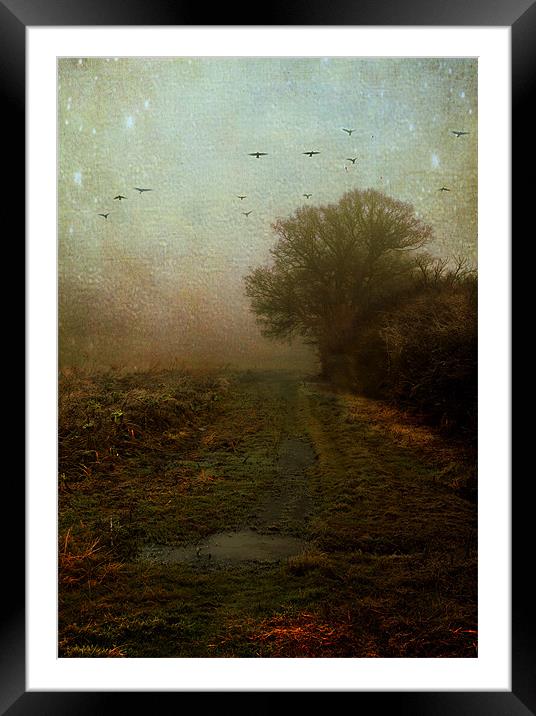 What lies ahead Framed Mounted Print by Dawn Cox