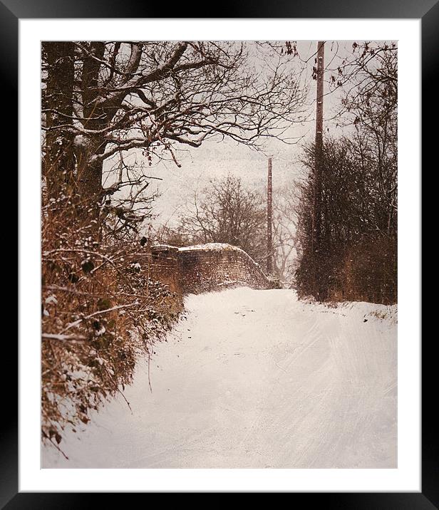 Winter in the Countryside Framed Mounted Print by Dawn Cox