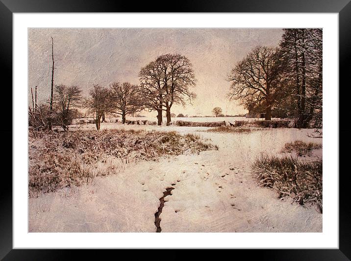 snow near chiddingstone causeway, kent Framed Mounted Print by Dawn Cox