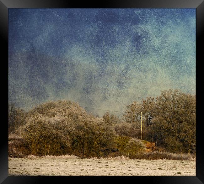 Corner of a field Framed Print by Dawn Cox