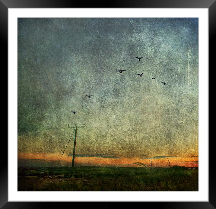 One evening Framed Mounted Print by Dawn Cox