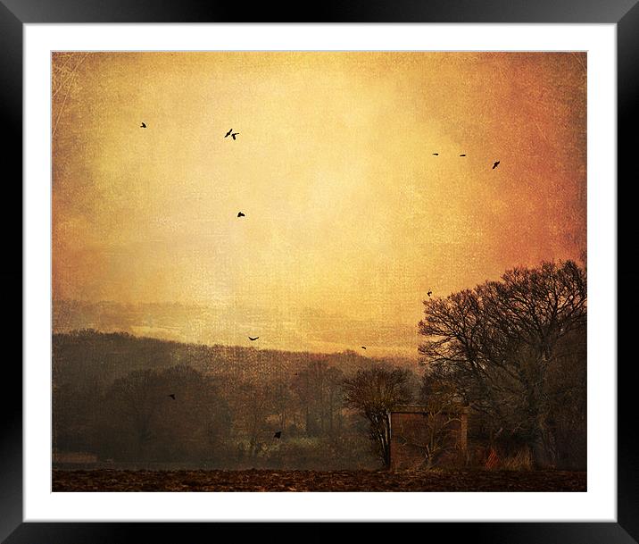 Red sky in the morning Framed Mounted Print by Dawn Cox