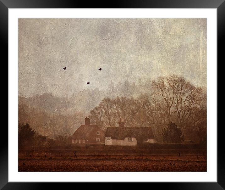 Over the hedge and beyond Framed Mounted Print by Dawn Cox