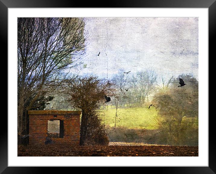 Fly away home Framed Mounted Print by Dawn Cox