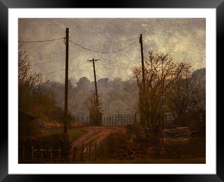 Down the lane Framed Mounted Print by Dawn Cox