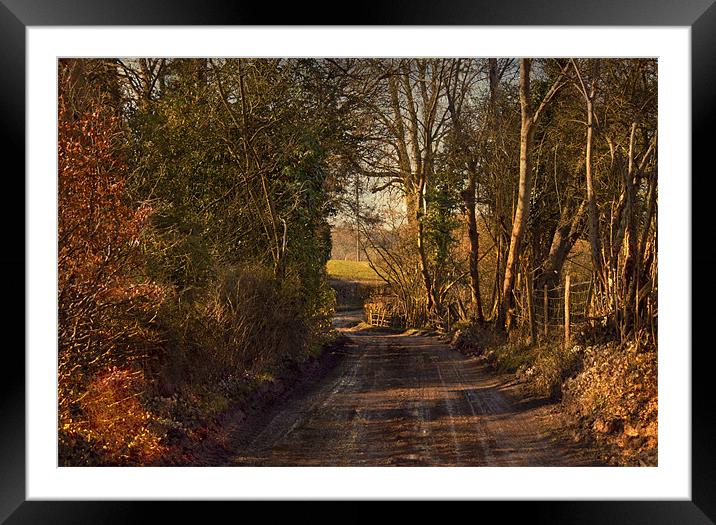 An English Country Lane Framed Mounted Print by Dawn Cox