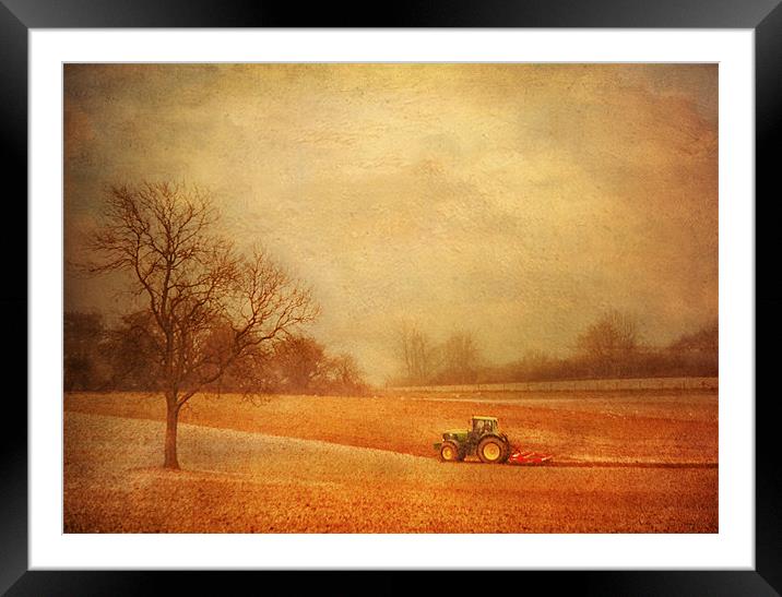 Working the Fields Framed Mounted Print by Dawn Cox