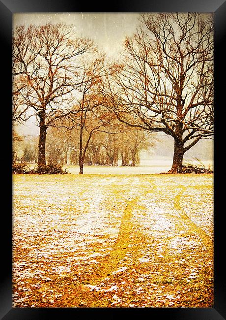 Light snow flurries across the field Framed Print by Dawn Cox