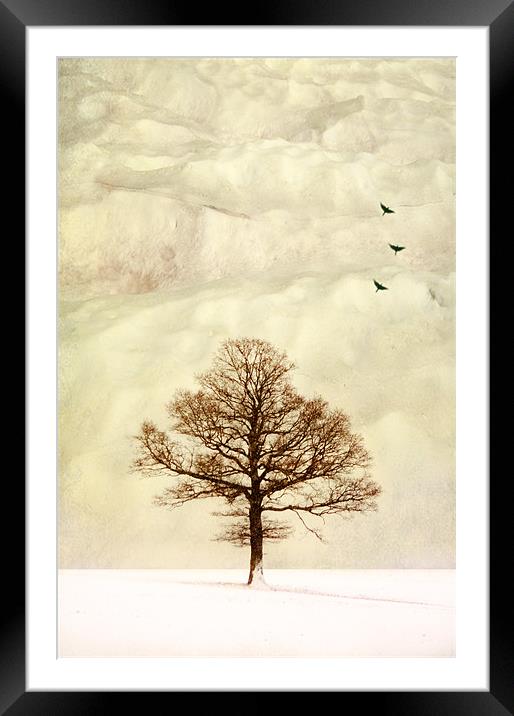 snow candy Framed Mounted Print by Dawn Cox