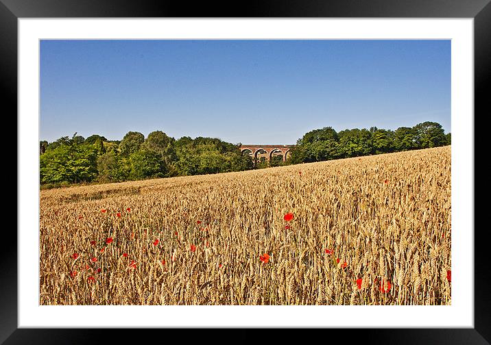 Wheat field with a view Framed Mounted Print by Dawn Cox