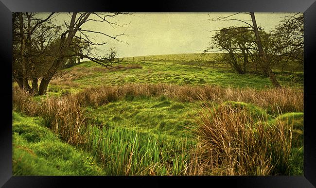 Over the Hill Framed Print by Dawn Cox