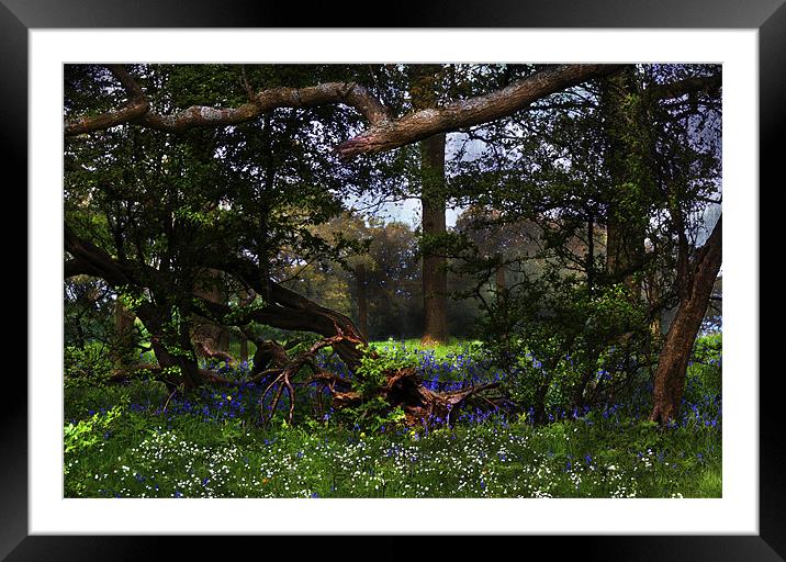 The Spirit of spring Framed Mounted Print by Dawn Cox