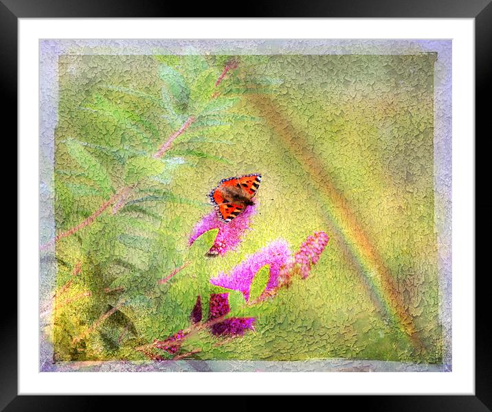 The other side of the  Rainbow Framed Mounted Print by Dawn Cox