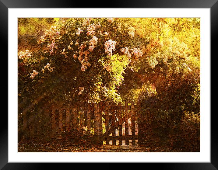 English country garden Framed Mounted Print by Dawn Cox