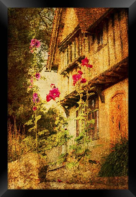 Hollyhock cottage Framed Print by Dawn Cox