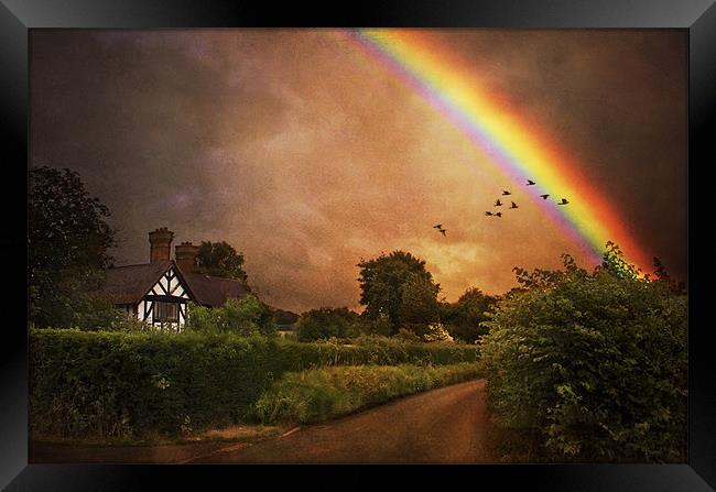Pot of Gold Framed Print by Dawn Cox
