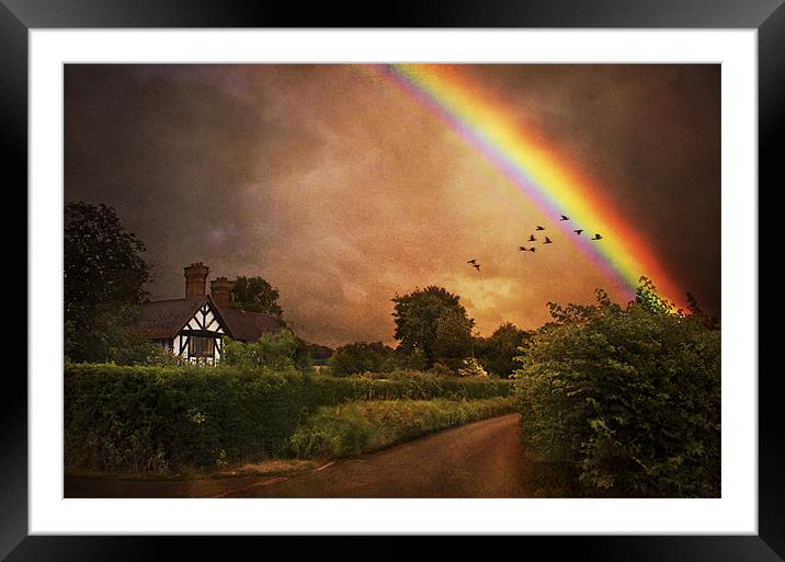 Pot of Gold Framed Mounted Print by Dawn Cox