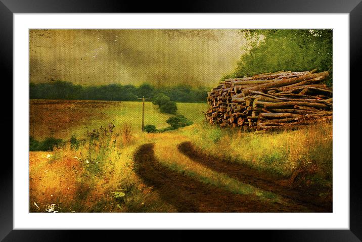 country lane Framed Mounted Print by Dawn Cox