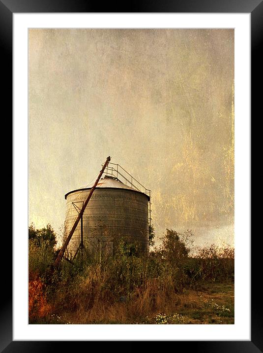 on the farm Framed Mounted Print by Dawn Cox