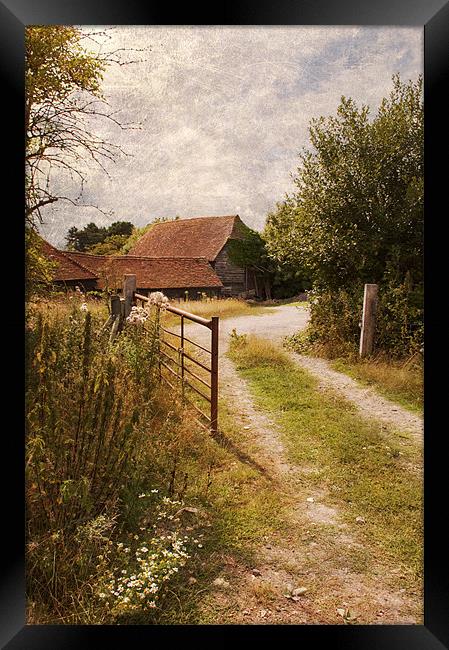 Kent country lane Framed Print by Dawn Cox
