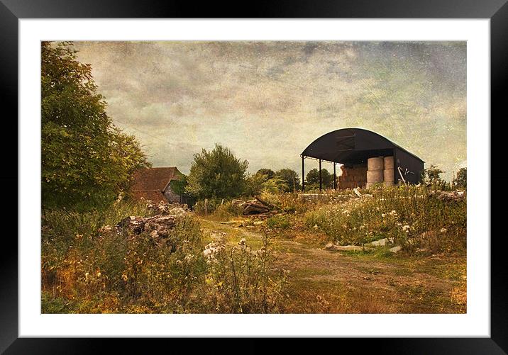 The Old Barn Framed Mounted Print by Dawn Cox
