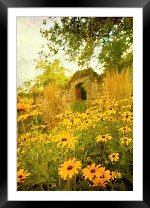 mellow yellow Framed Mounted Print by Dawn Cox