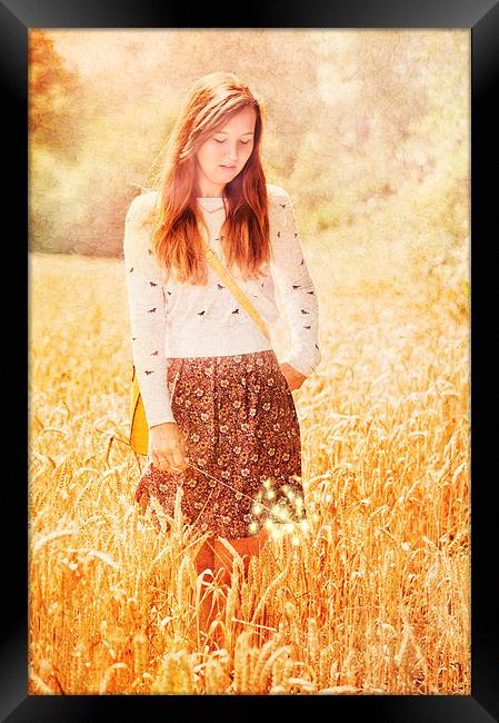 golden field Framed Print by Dawn Cox