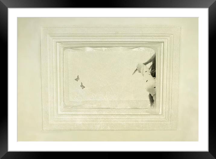 Lost Framed Mounted Print by Dawn Cox
