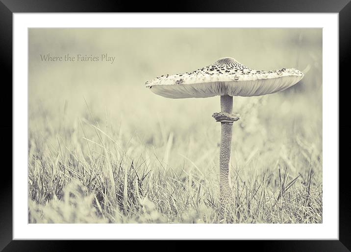 fairy shelter Framed Mounted Print by Dawn Cox