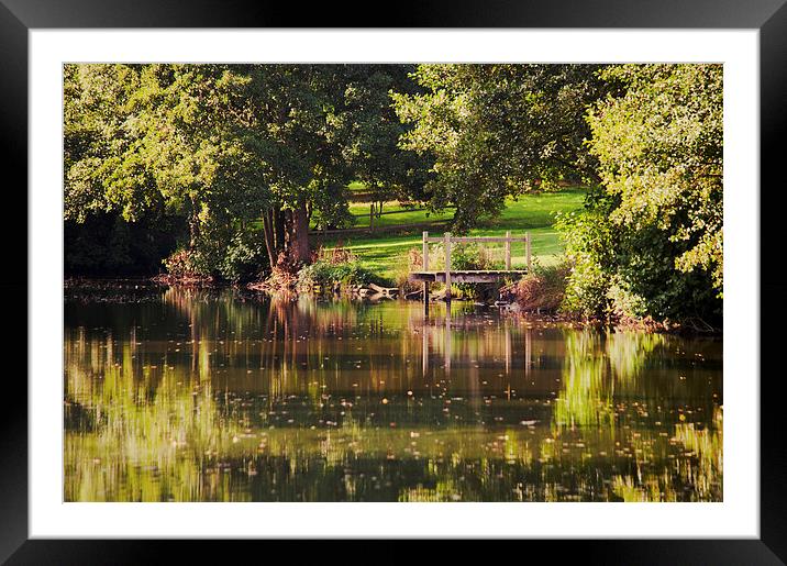Gone Fishing Framed Mounted Print by Dawn Cox