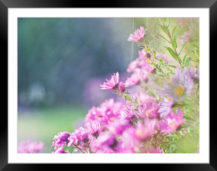 The Soft Touch Framed Mounted Print by Dawn Cox