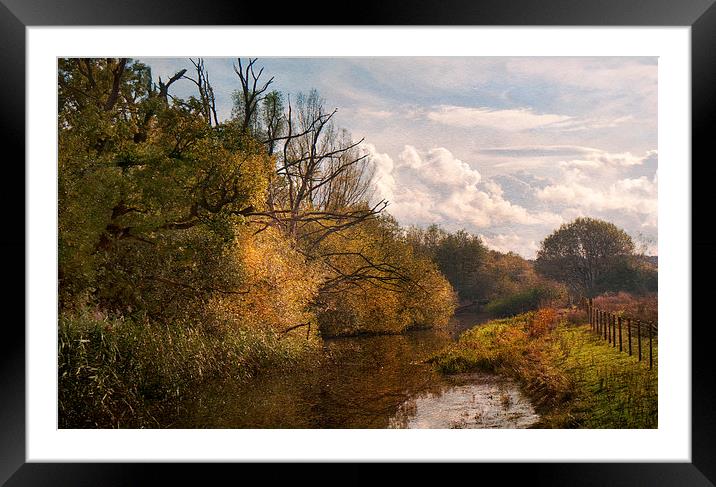 Along the riverbank Framed Mounted Print by Dawn Cox